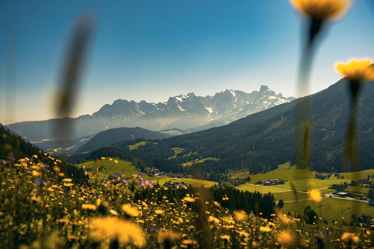 Wimmhof Appartement Sankt Martin am Tennengebirge Buitenkant foto