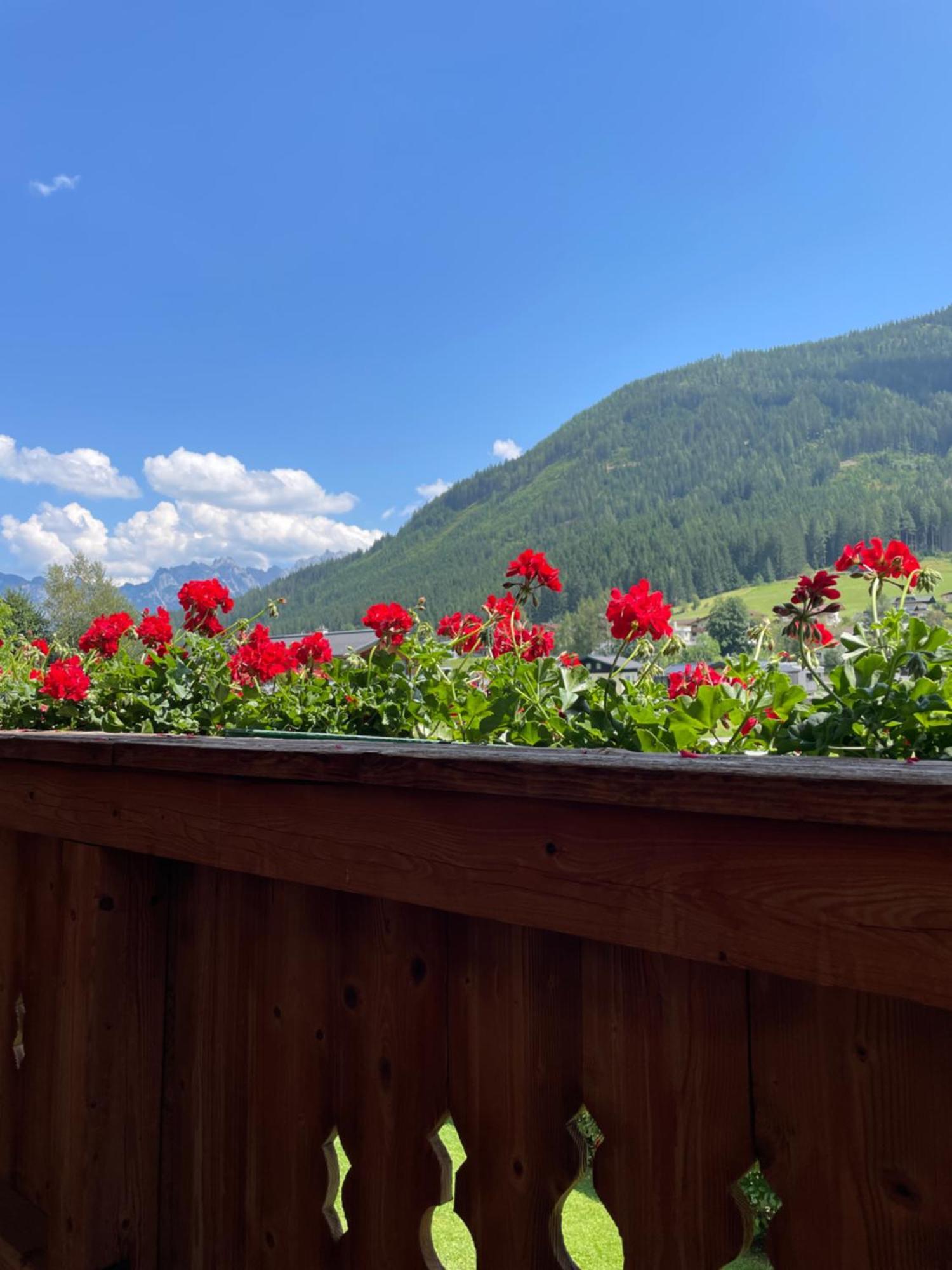 Wimmhof Appartement Sankt Martin am Tennengebirge Buitenkant foto